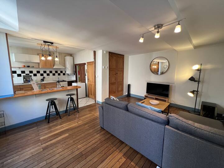 Le Traboule T2 ultra central, antique district Apartments for Rent