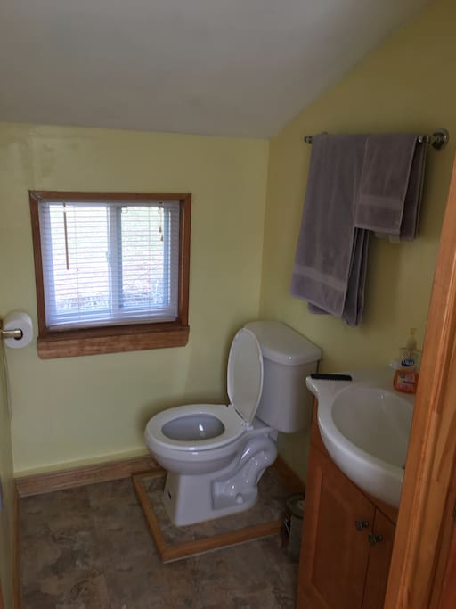 Private bathroom with deep bowl sink