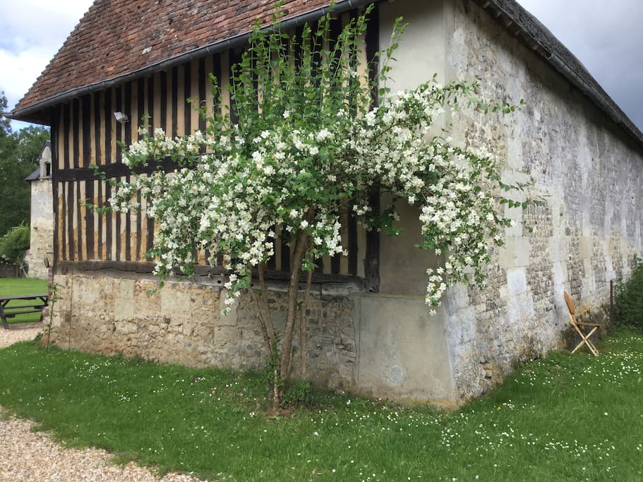 Cour Fleurie