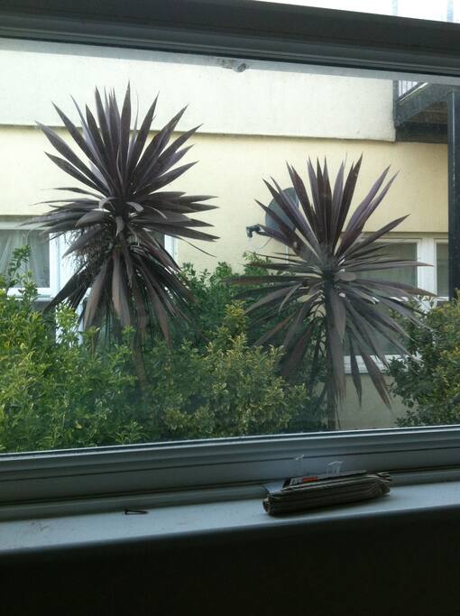 View from the room
