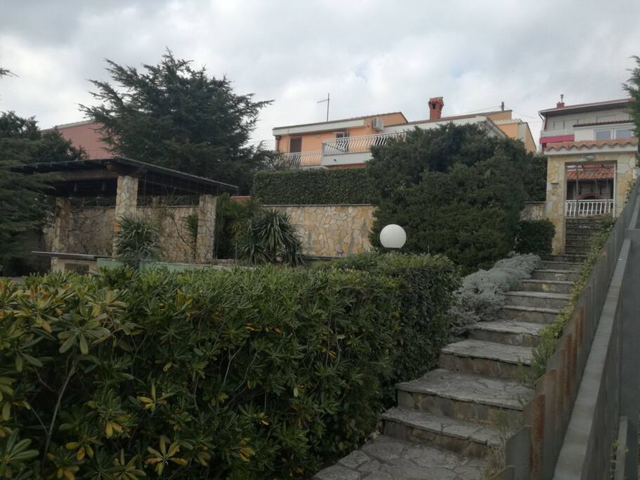 View from the road