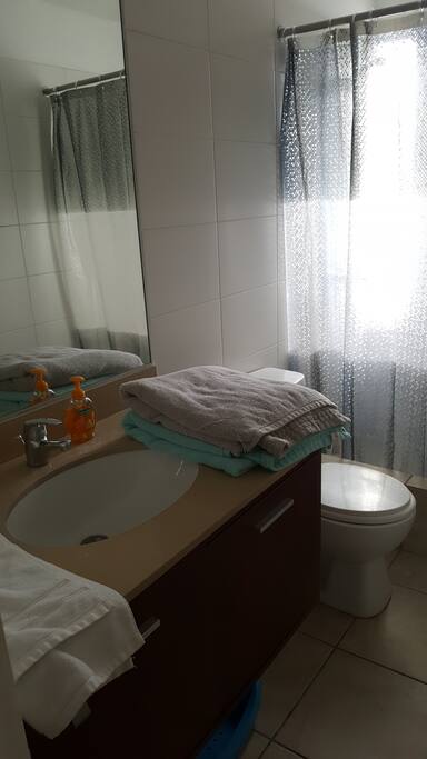 Private bathroom, equiped with basics