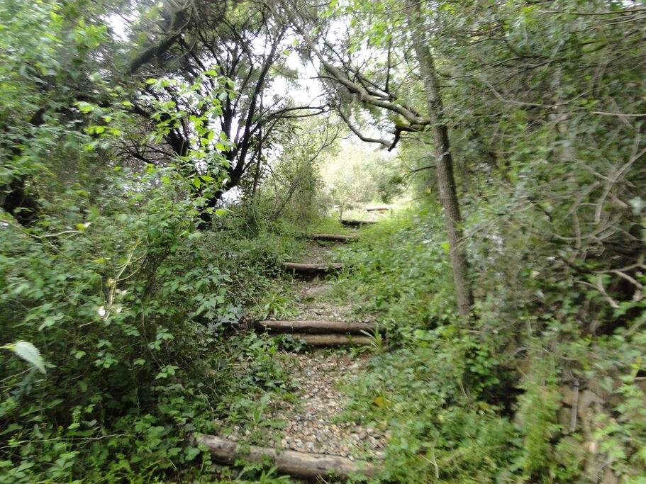 Descente privée à la rivière