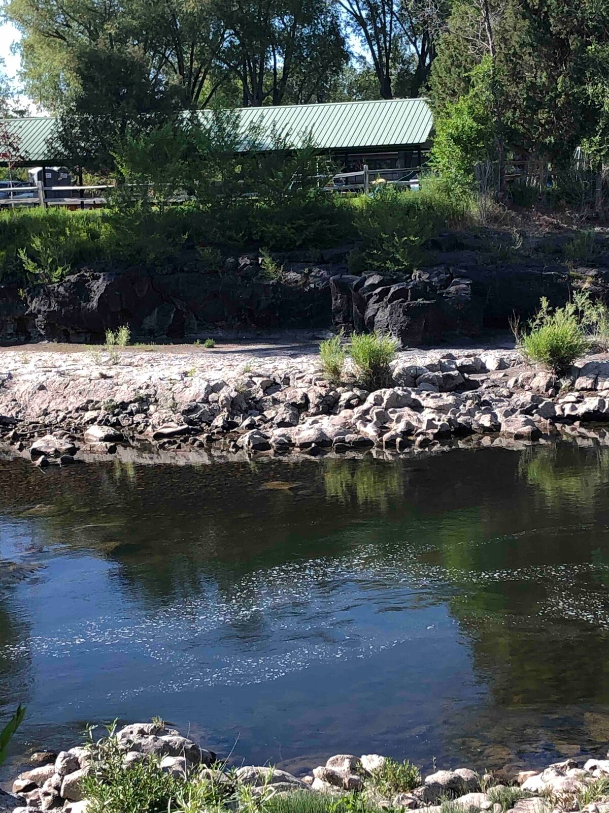 The image captures a serene view of the North Fork Snake River, showcasing calm waters reflecting greenery and rocky banks. Lush plants line the water's edge, while a structure with a green roof is visible in the background, blending with the natural landscape.