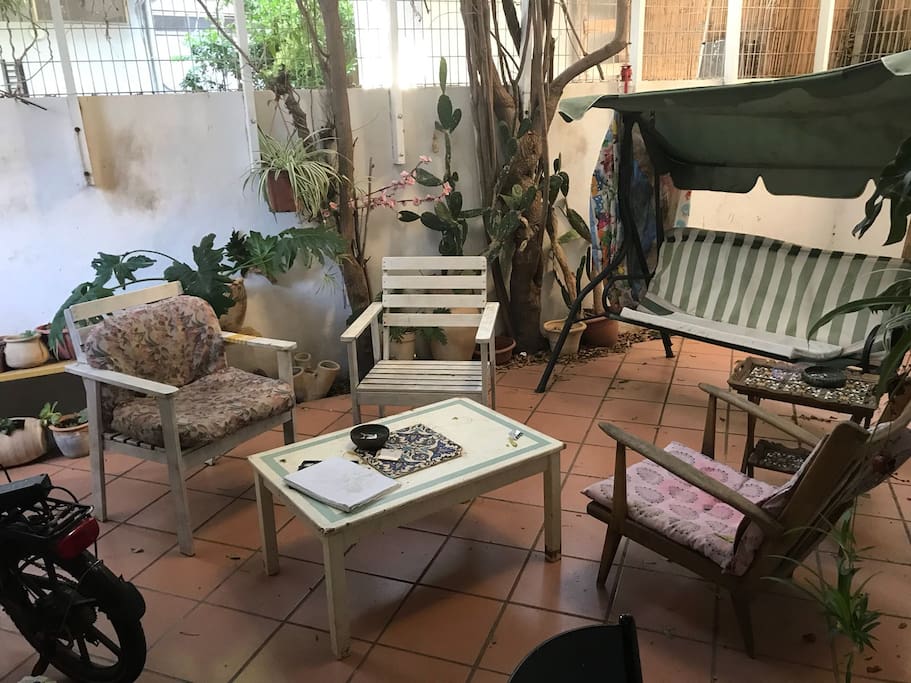 garden