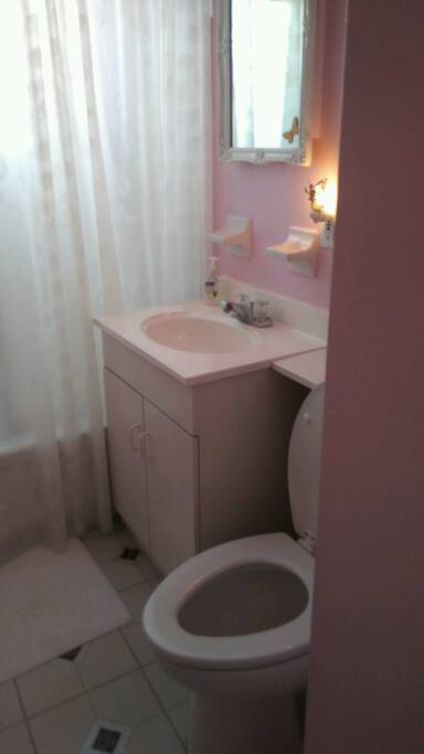 Shared bathroom sink.