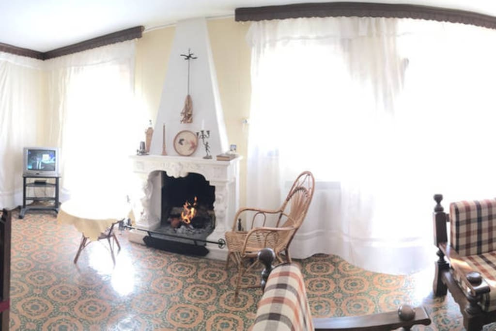 Fireplace in the living room