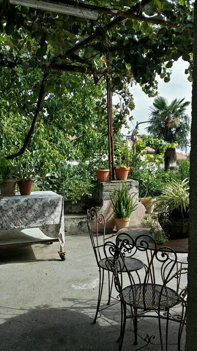Parte del terrazzo che toccata dai rami un bellissimo noce!