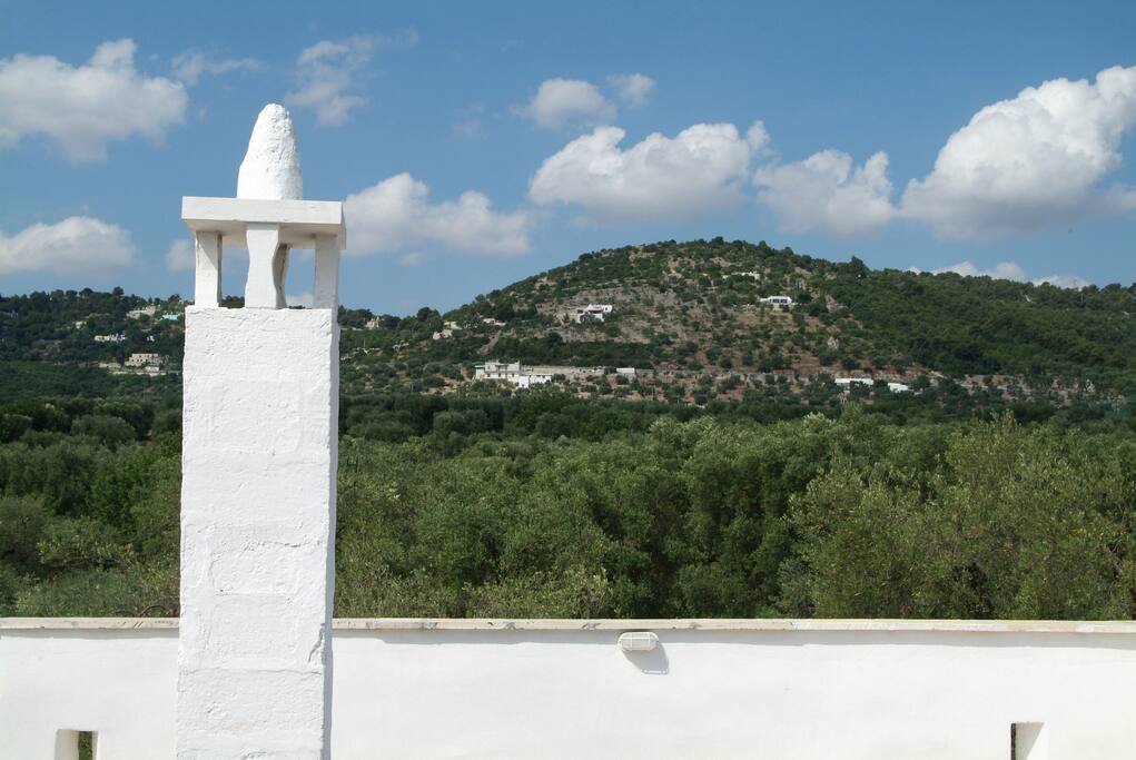 Vista della Selva di Fasano dalla terrazza della Masseria