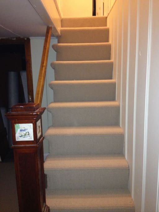 Stairs up to the primary part of the house.