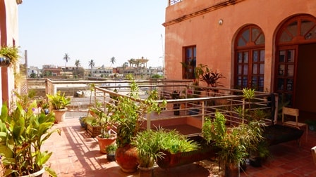 A rooftop terrace is adorned with various potted plants, creating a green space with a tranquil atmosphere. The vibrant terracotta building and arched windows frame the view, while a glimpse of the river and palm trees can be seen in the background.