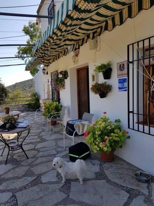 TERRAZA FRONTAL