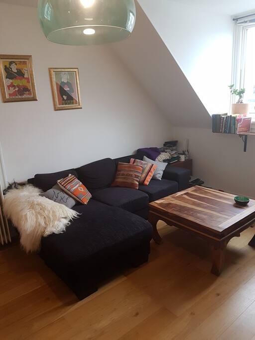 Living Room (sleeping couch)