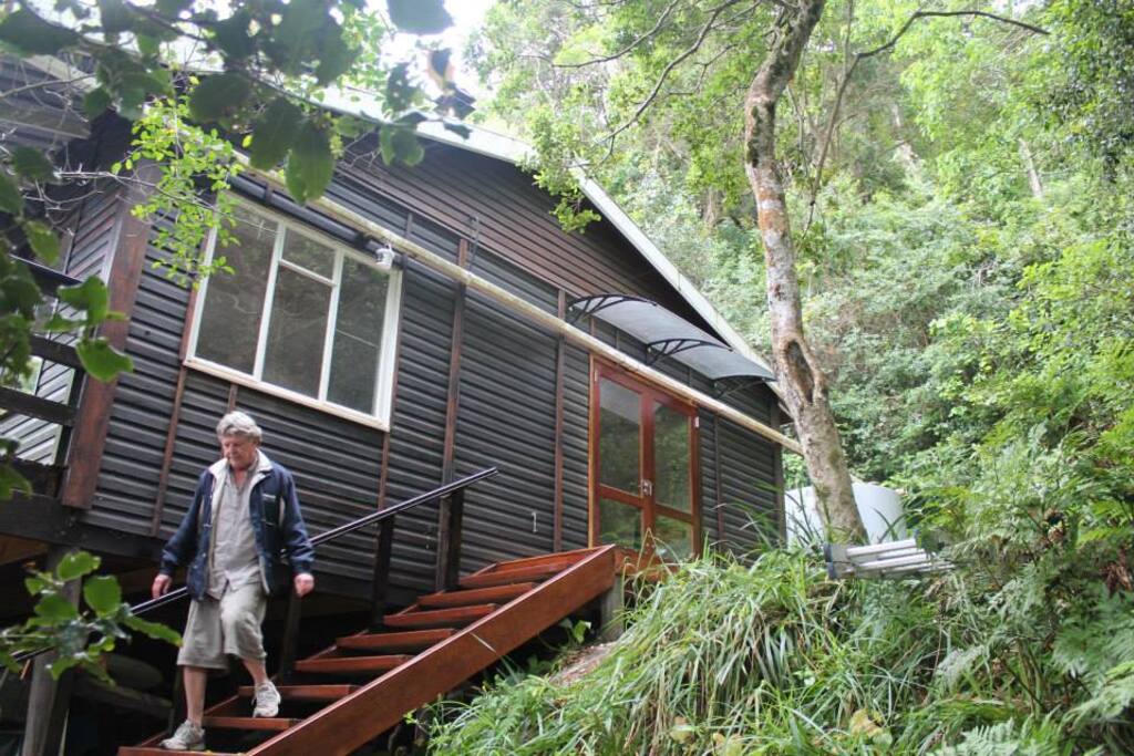 The house is nestled in the forest canopy