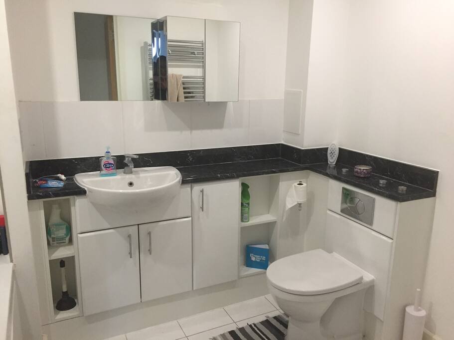 Large modern bathroom with shower over tub on the left