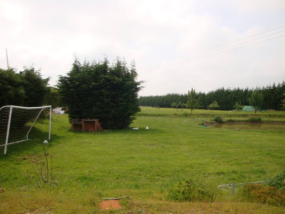 BBQ area