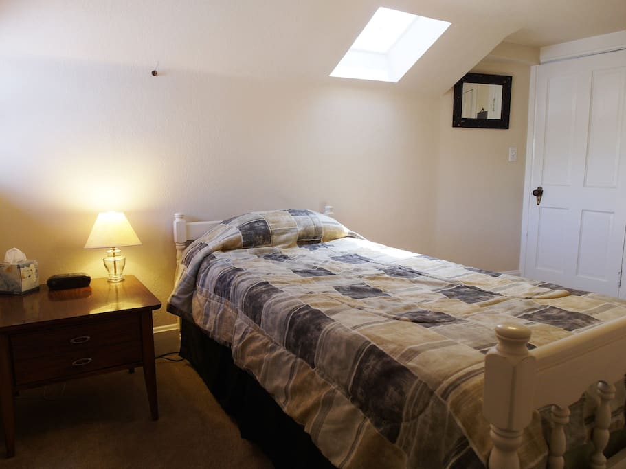 Lots of Natural Light w Skylight and East Facing Window