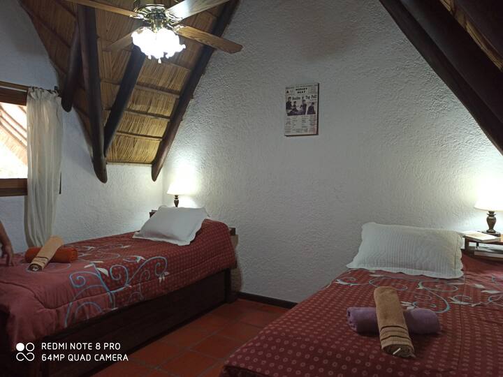 การงีบหลับสำหรับทุกคน... พวกเขาด้วย