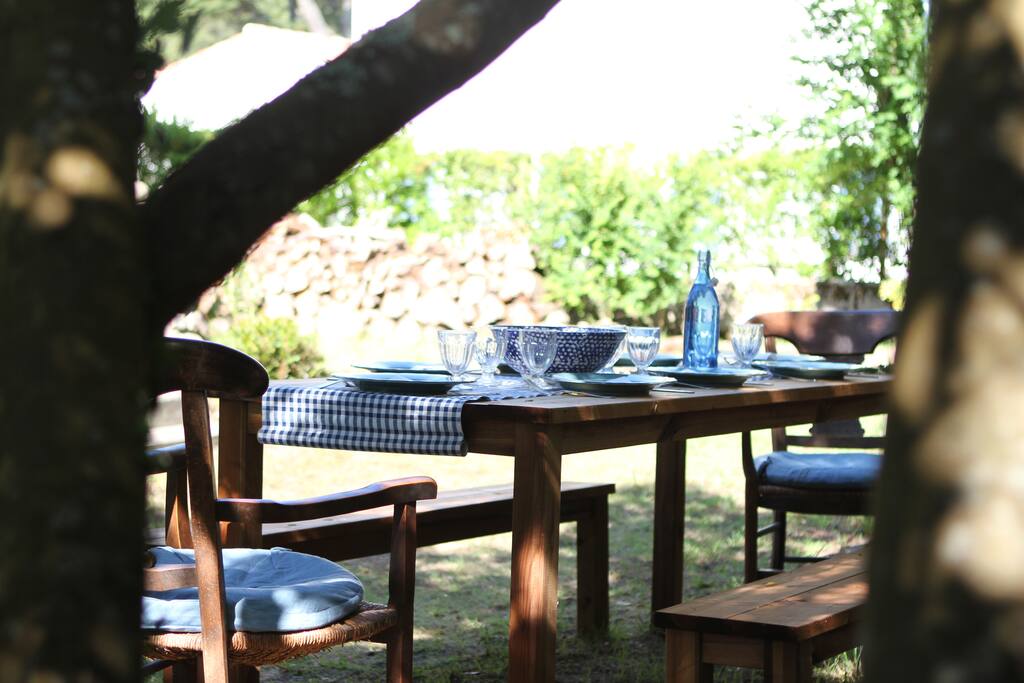 Table de jardin à l'ombre
