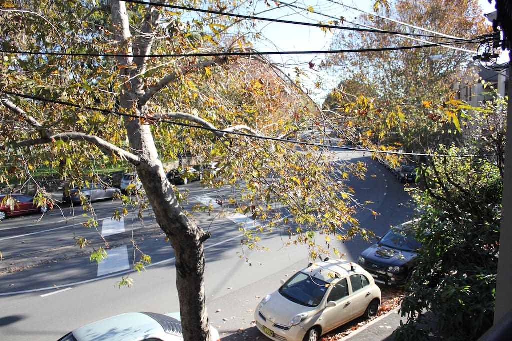 View from balcony