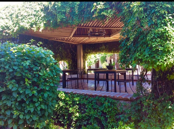 Cabo San Lucas House Rentals | Villa and Apartment Rentals | Airbnb