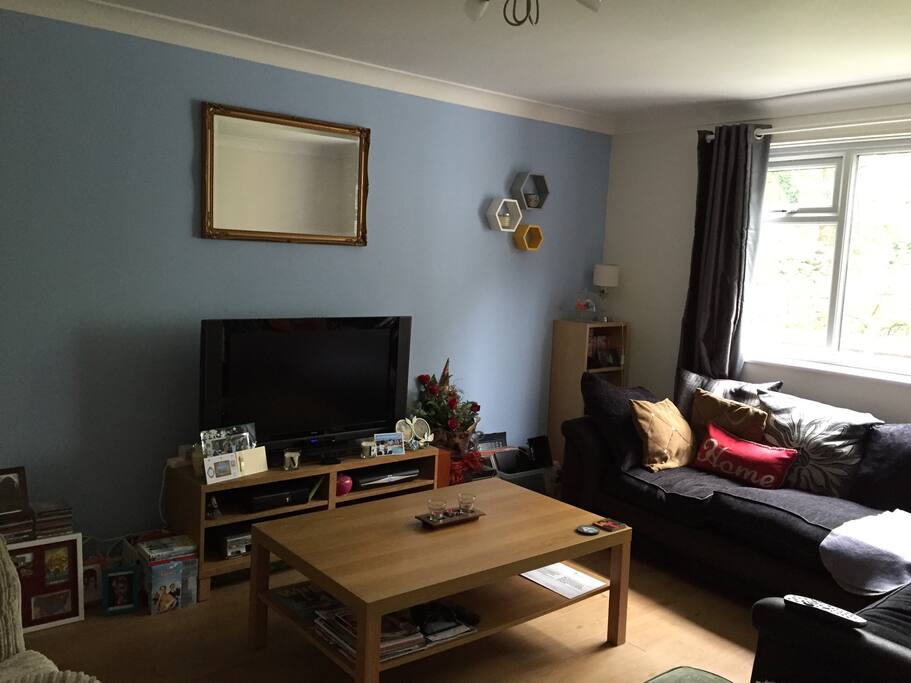 Good sized living room with plenty of seating.
