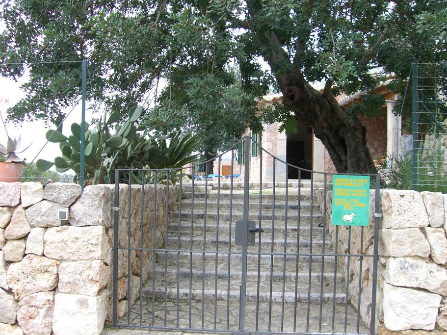 Entrada