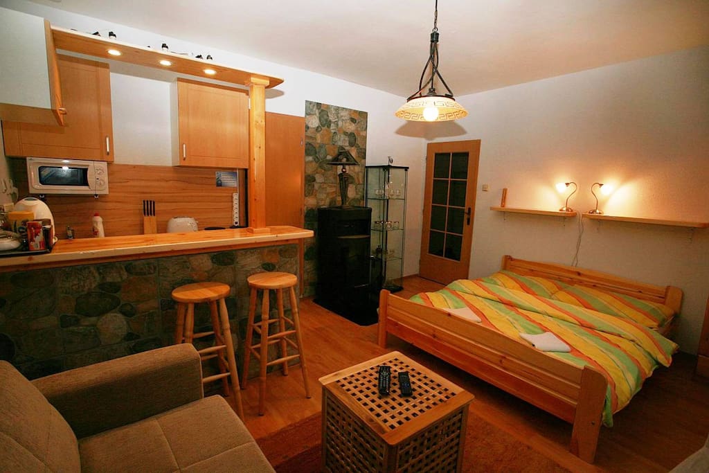 Studio Apartment TRIP