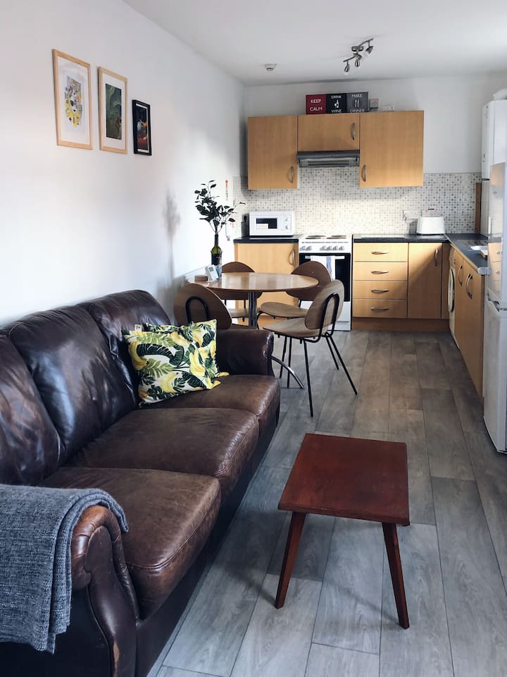 Belfast Botanic 2 Bedroom Apartment No3 - Belfast