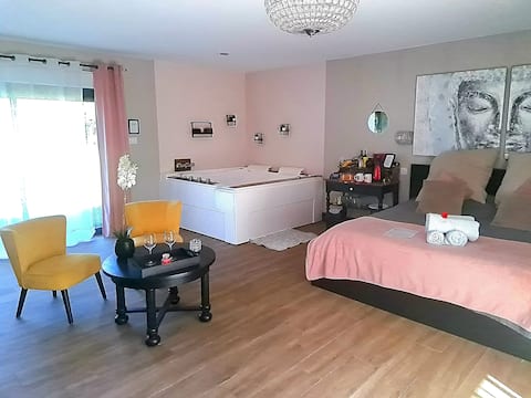 Romantic air-conditioned suite facing the horses