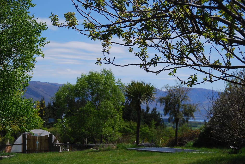 Lake Hawea glimpses