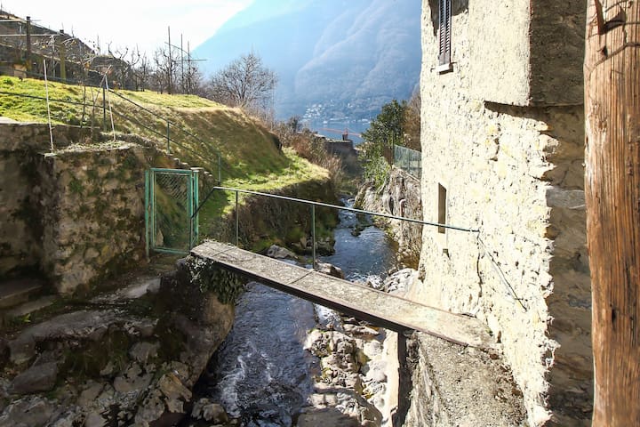 Risultati immagini per vino in riva al lago di como