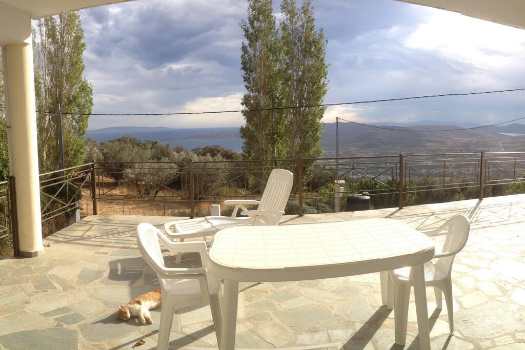 Terrasse en partie couverte
