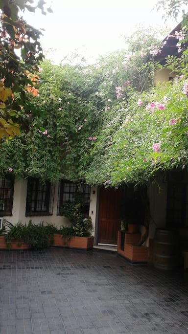 Jardín.