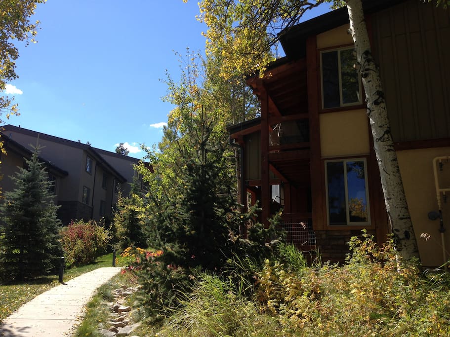 Path to condo