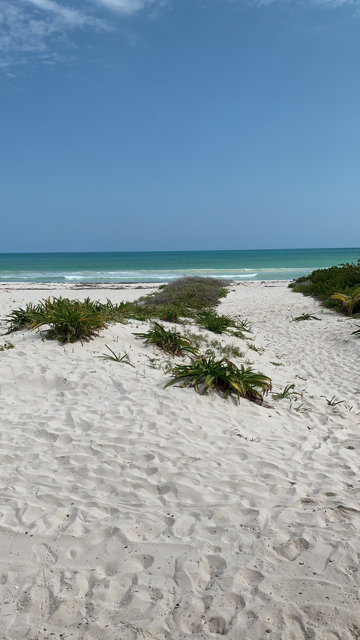 A sandy beach path is framed by patches of greenery leading to calm, turquoise waters. The expansive sky is clear, with a few scattered clouds. The scene captures a serene connection to nature, making it an inviting space for relaxation.