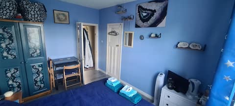 غرفة خاصة بالجمجمة الزرقاء ، مشاركة مسطحة مع الجرو!