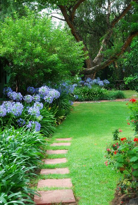 The garden where guests can relax or indulge in some bird watching