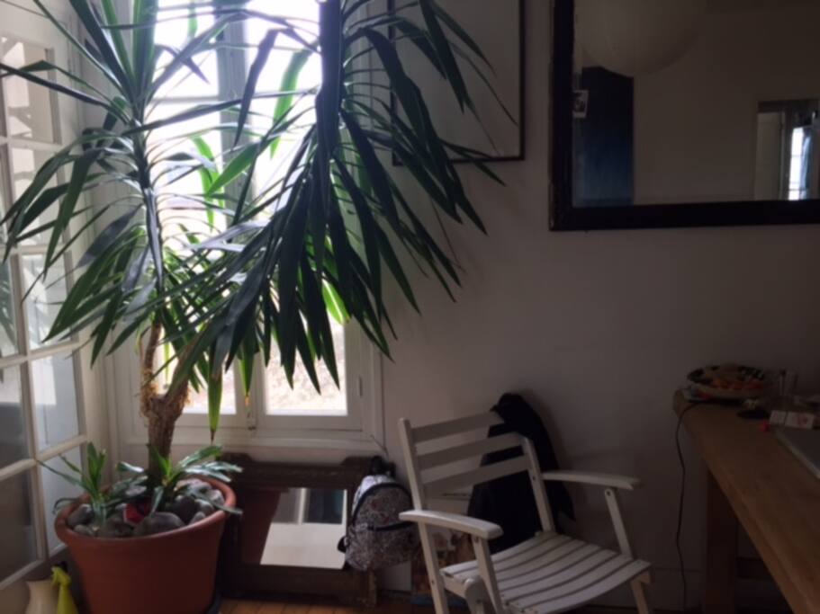 salon