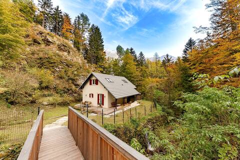 Central Area - New sweet valley cottage & stream