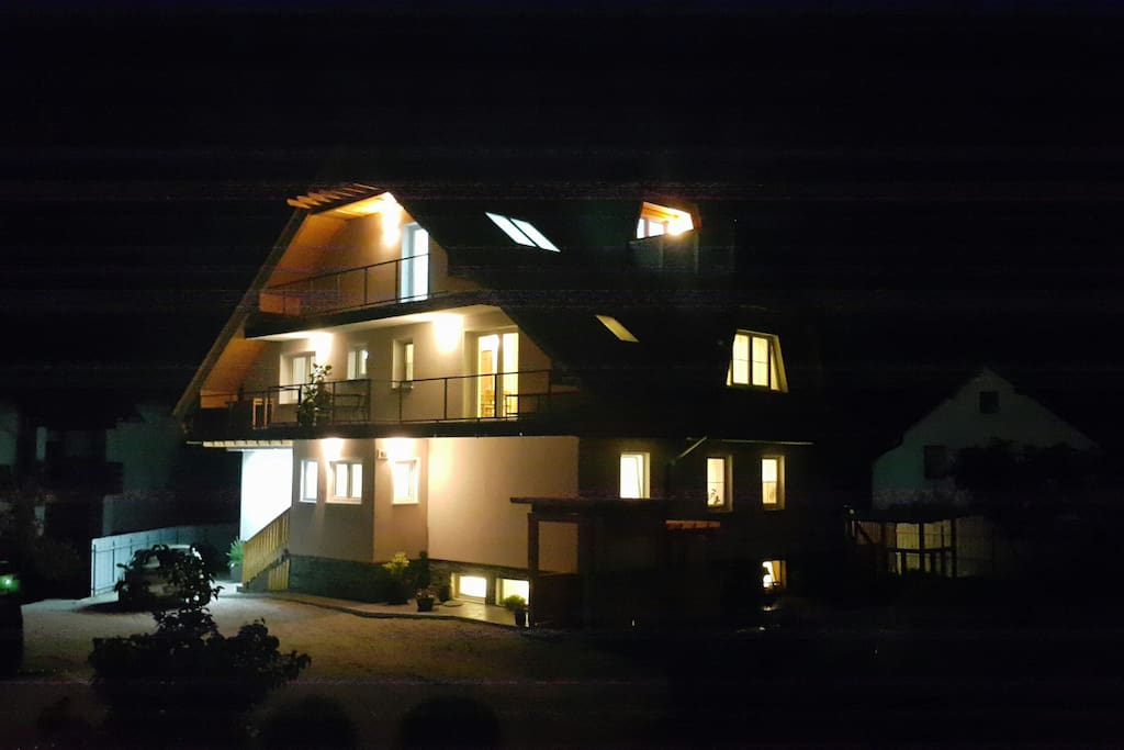 Night photo Villa Bird of Paradise