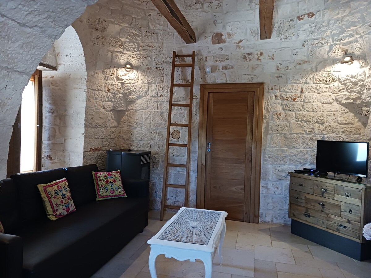 客厅配有双人沙发床。