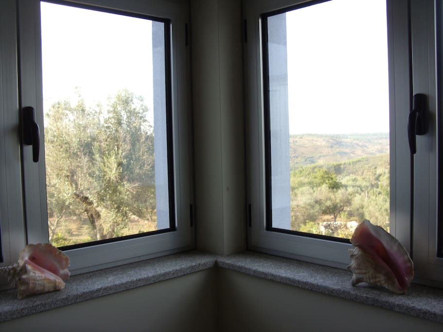 Bedroom windows
