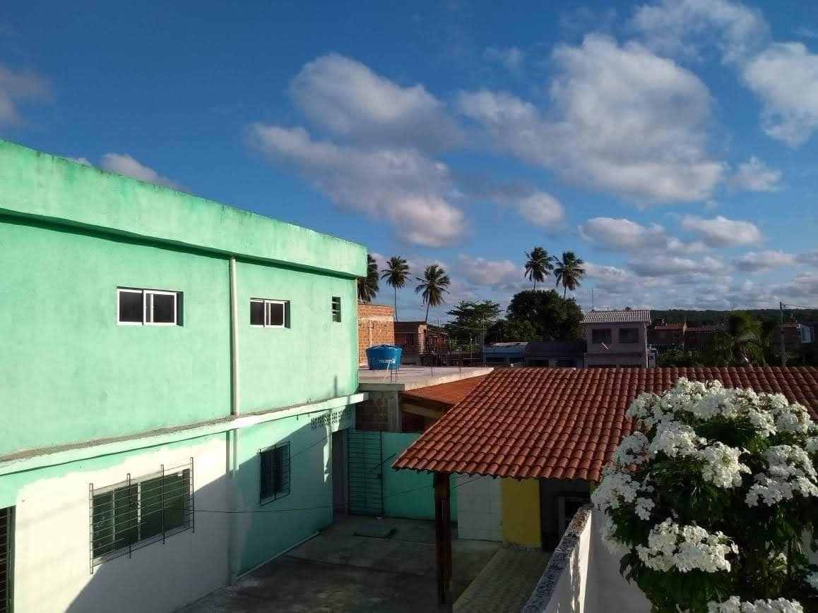 An aerial view showcases a vibrant green building next to a terracotta-roofed structure. Lush palm trees stand in the background under a partly cloudy sky, while a flowering plant in the foreground adds a touch of nature.