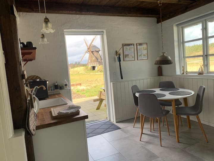 Mill farm holiday apartment - Vorupør