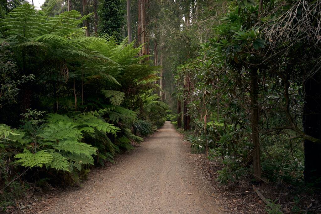 Cottage hidden down this spectacular driveway