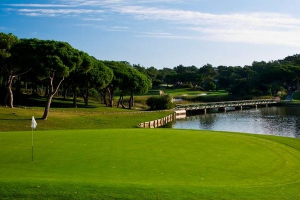 Golf course