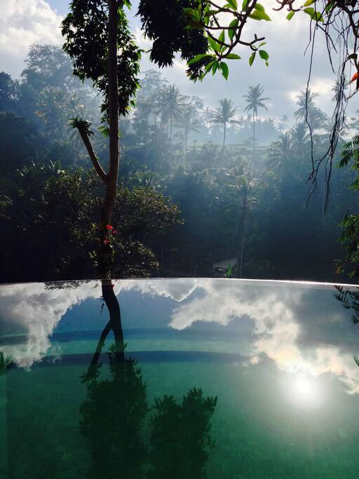 The Hermitage Infinity salt water swimming pool with gorgeous views. (Shared pool.)
