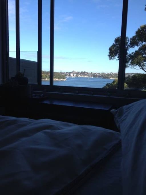 Morning view from bed