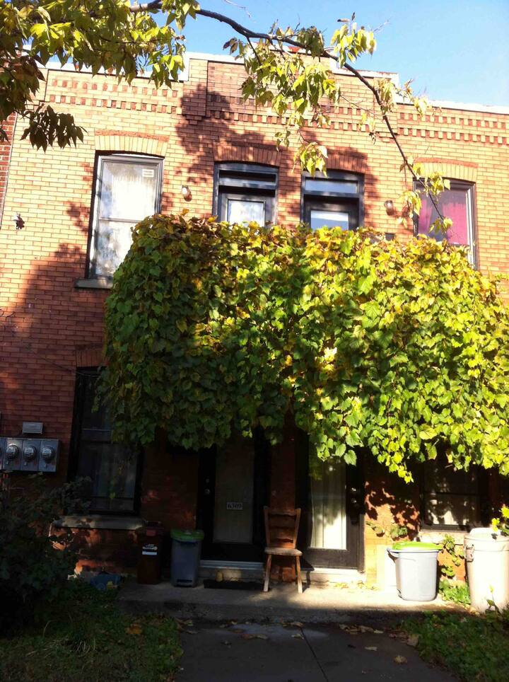 Little Italy, RosemontLa PetitePatrie Vacation Rentals & Homes